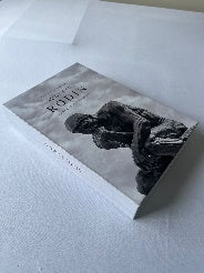 Rodin grey